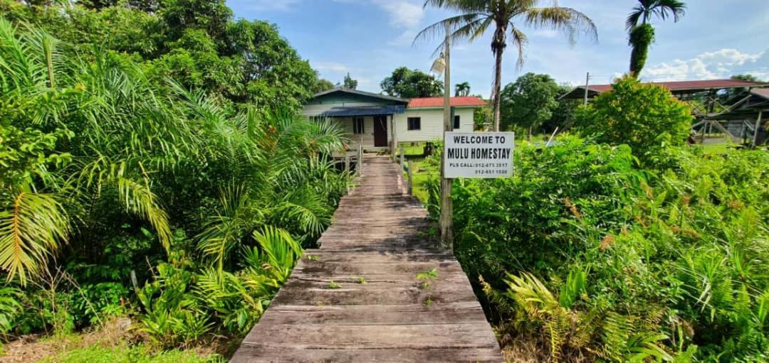 Mulu Homestay 外观 照片