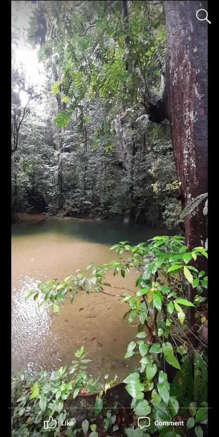 Mulu Homestay 外观 照片