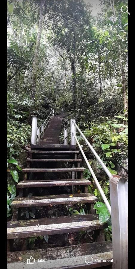 Mulu Homestay 外观 照片